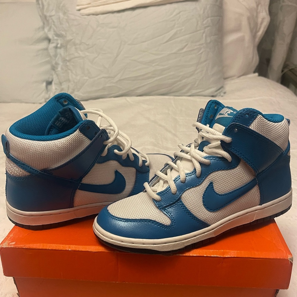 Nike dunk sneakers